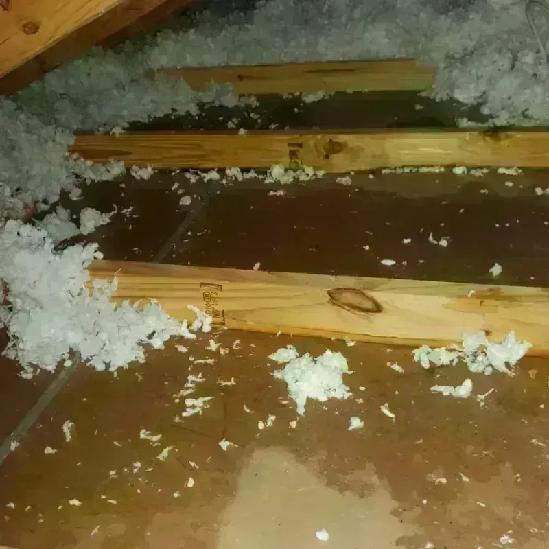 Attic Water Damage in Alton, IL